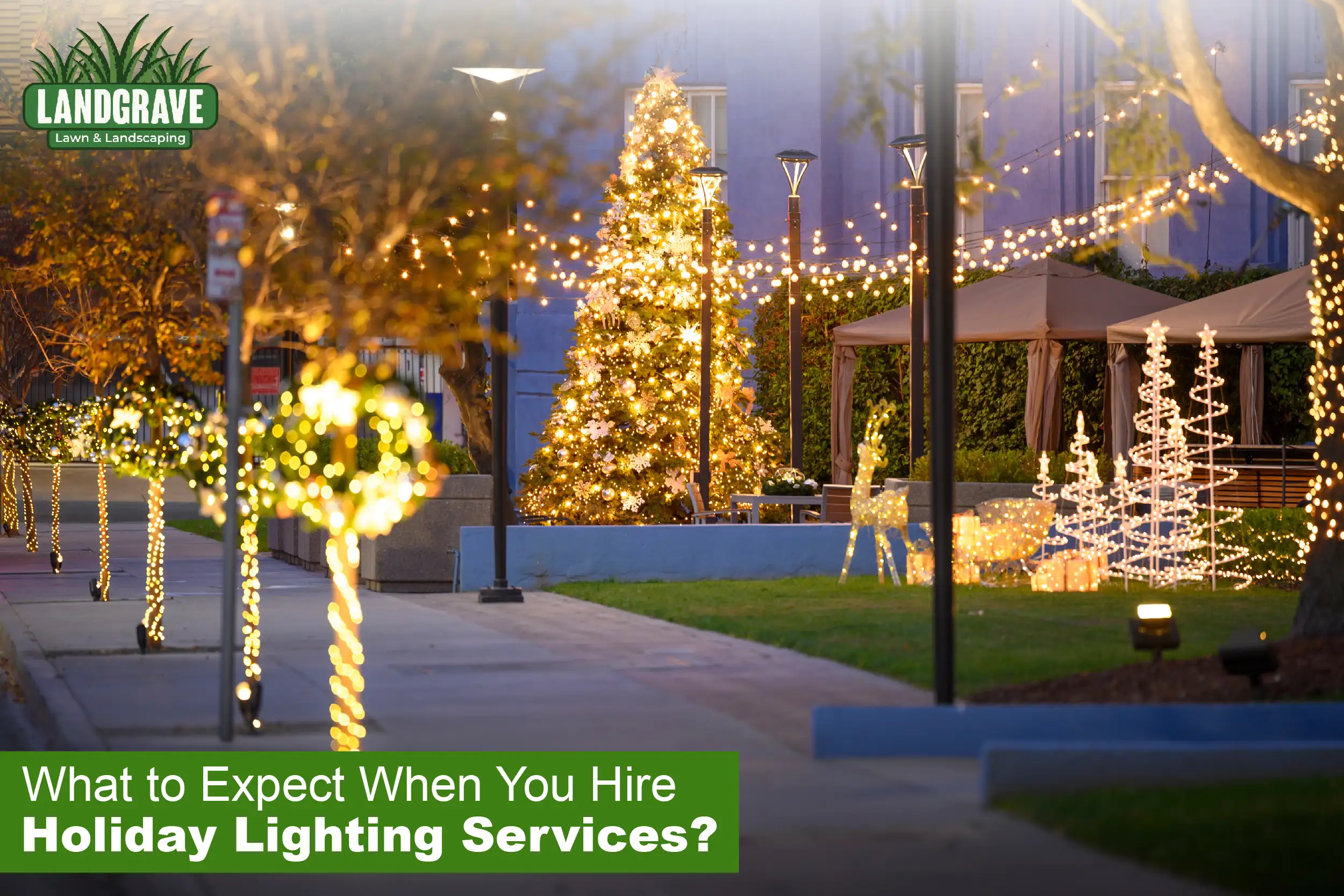 Holiday Lighting Services in Broussard