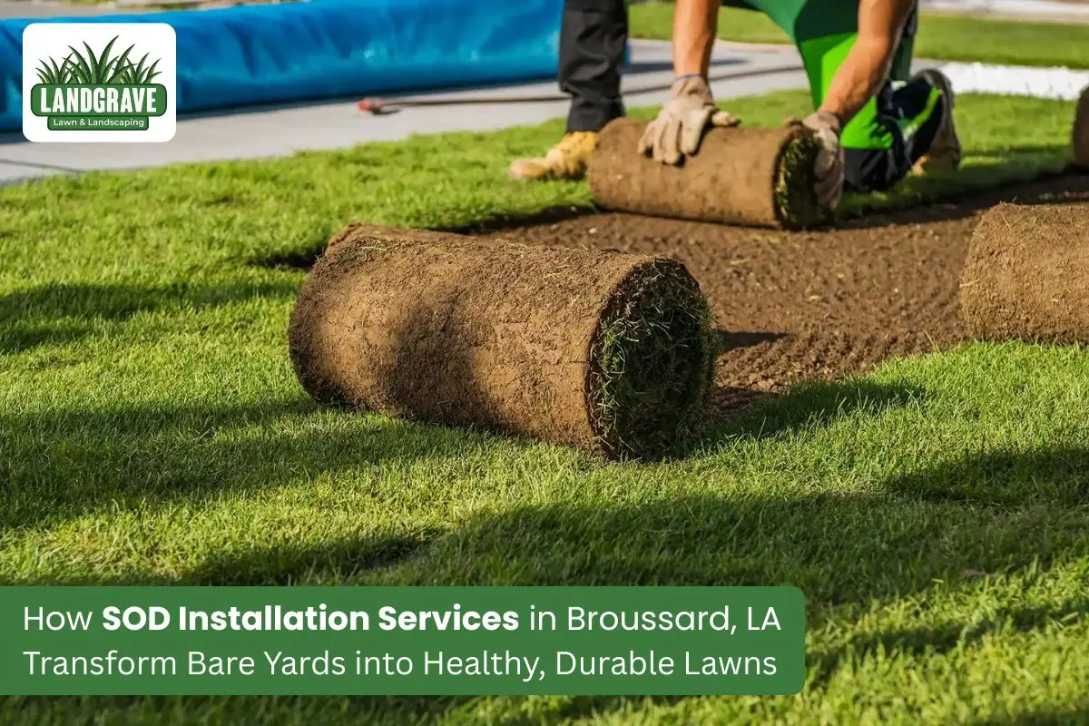 SOD Installation Services in Broussard LA