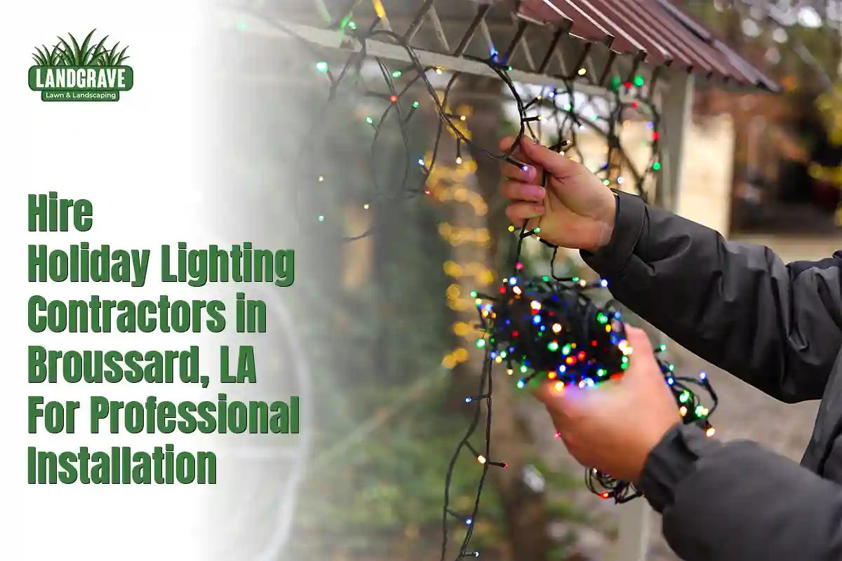 Hire Holiday Lighting Contractors in Broussard, LA for Professional Installation
